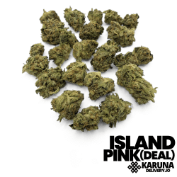 Island Pink 2/$99