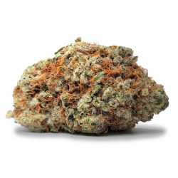 Super Lemon Haze Elite