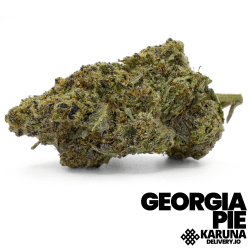 Georgia Pie Elite