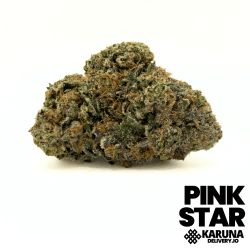 Pink Star Elite