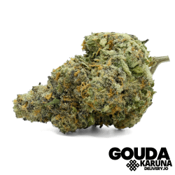 Gouda