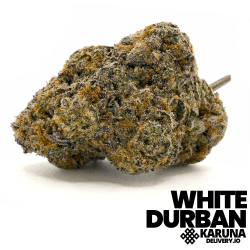 White Durban Elite