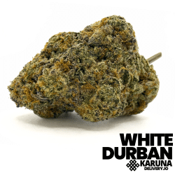 White Durban Elite