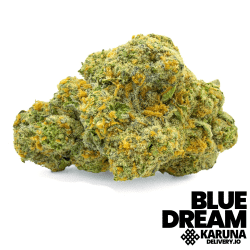 Blue Dream Elite