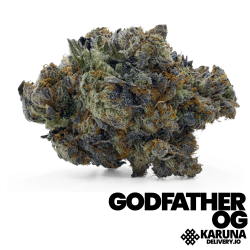 Godfather OG Elite