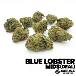 Blue Lobster Smalls 2/$99