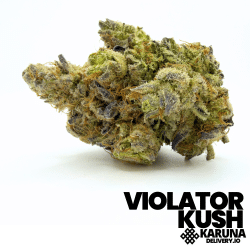 Violator Kush