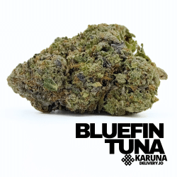 Bluefin Tuna Kush Elite