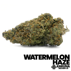 Watermelon Haze