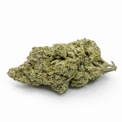 Watermelon Haze