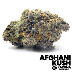 Afghani Kush