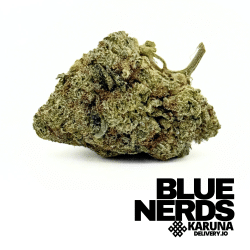 Blue Nerds