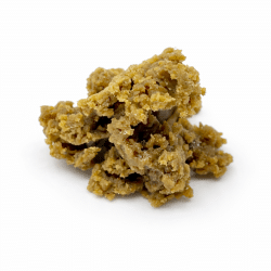 MKU Static Hash- 1G