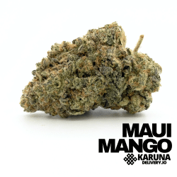 Maui Mango