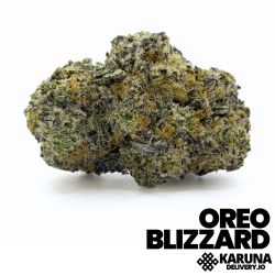 Oreo Blizzard