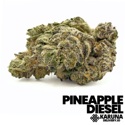 Pineapple Diesel