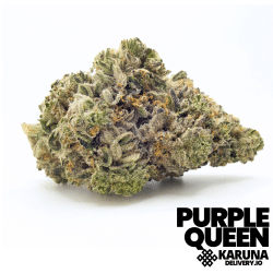 Purple Queen