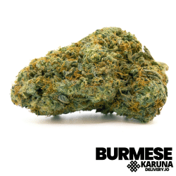 Burmese