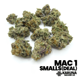 MAC 1 2/$99
