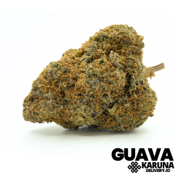 Guava
