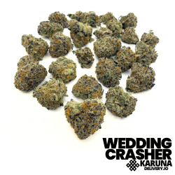 Wedding Crasher 2/$109