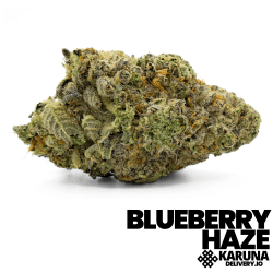 Blueberry Haze