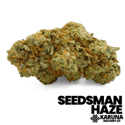 Seedsman Haze
