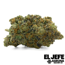 El Jefe