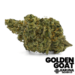 Golden Goat
