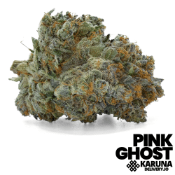Pink Ghost