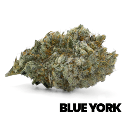 Blue York Haze